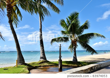 夏威夷的假期 夏威夷的假期 63974053