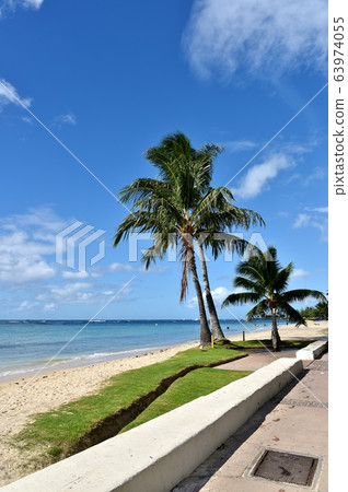 Holidays in Hawaii Holidays in Hawaii 63974055