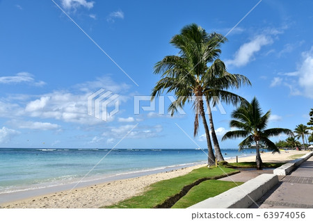Holidays in Hawaii Holidays in Hawaii 63974056