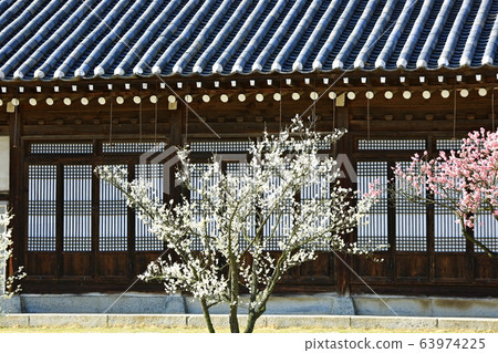 顯忠寺的春天 63974225