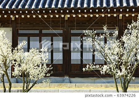 Spring of Hyeonchungsa Temple, 63974226