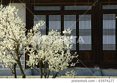 顯忠寺的春天 63974227