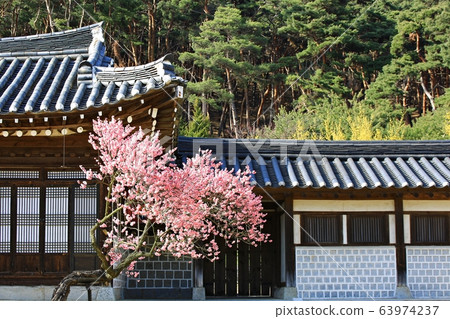 顯忠寺的春天 63974237