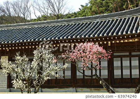 顯忠寺的春天 63974240