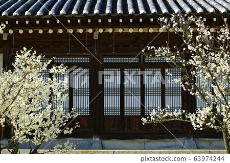 顯忠寺的春天 63974244