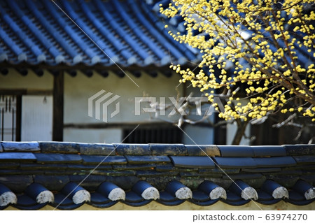 顯忠寺的春天 63974270