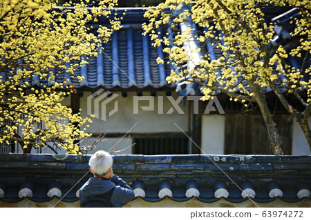 顯忠寺的春天 63974272