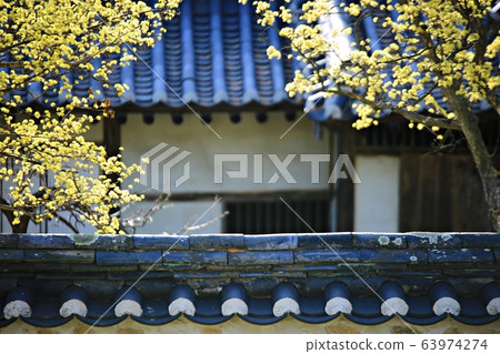 顯忠寺的春天 63974274