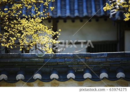 顯忠寺的春天 63974275