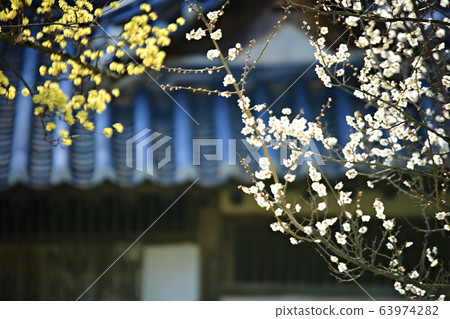 顯忠寺的春天 63974282