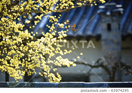 顯忠寺的春天 63974295