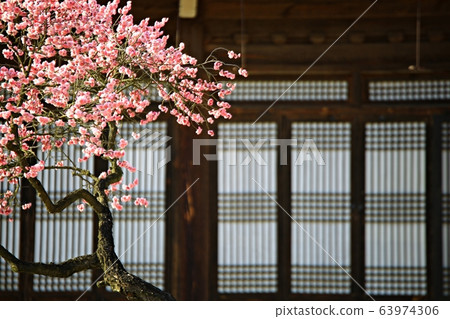 顯忠寺的春天 63974306