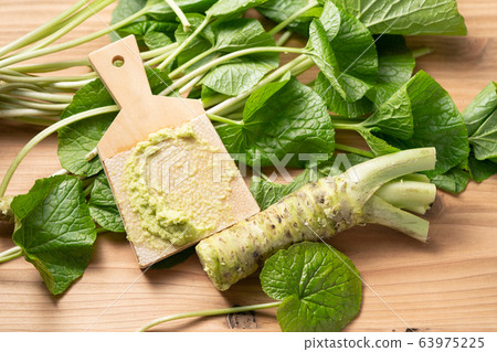 Hon-yamai and wasabi leaves Hon-yamai and wasabi leaves 63975225