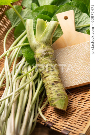 Hon-yamai and wasabi leaves 63975472