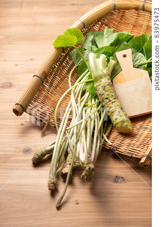 本山和芥末葉 63975473