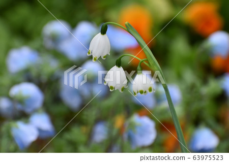 Yamadaike Park Yamadaike Park 63975523