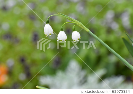 Yamadaike Park Yamadaike Park 63975524