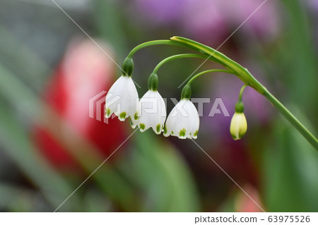 Yamadaike Park Yamadaike Park 63975526