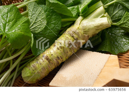 Hon-yamai and wasabi leaves Hon-yamai and wasabi leaves 63975656