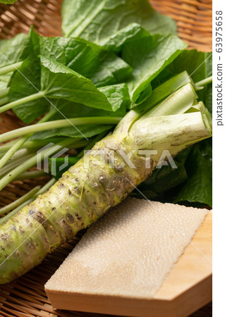 Hon-yamai and wasabi leaves 63975658