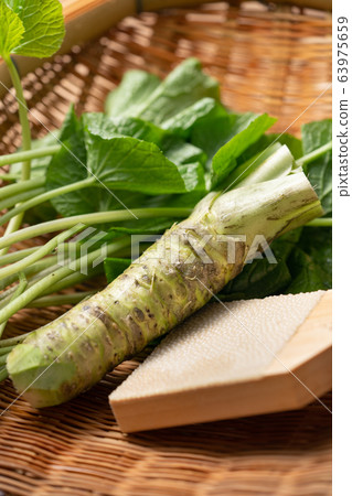 Hon-yamai and wasabi leaves 63975659