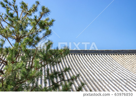 東福寺禪寺屋頂和松樹 63976850