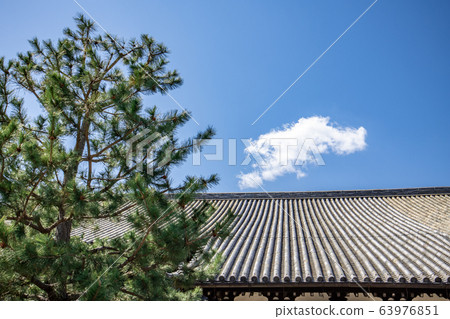 東福寺禪寺屋頂和松樹 東福寺禪寺屋頂和松樹 63976851