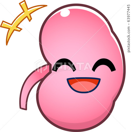 Kidney character Kidney character 63977445