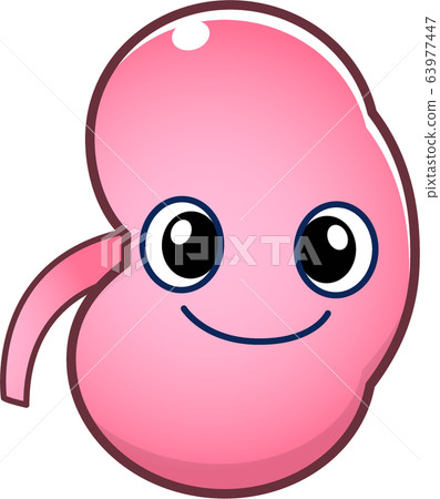 Kidney character Kidney character 63977447