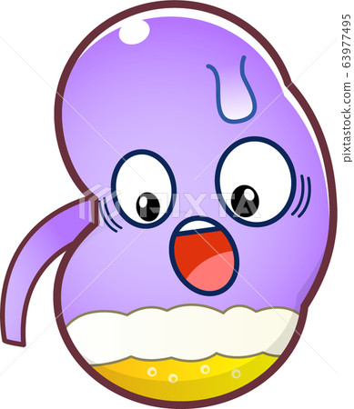 Kidney character 63977495