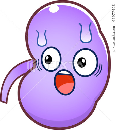 Kidney character 63977498