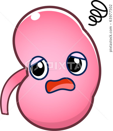 Kidney character 63977502