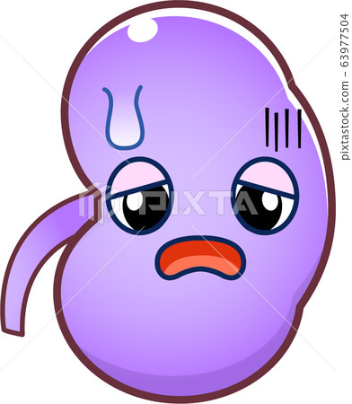 Kidney character 63977504