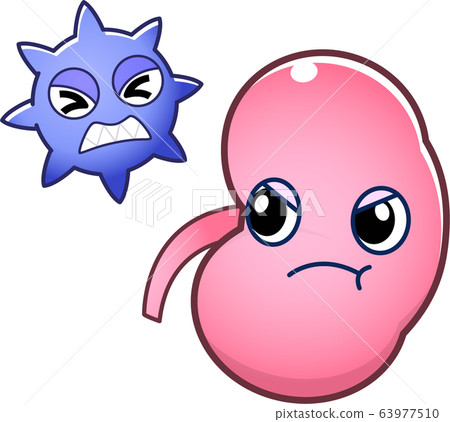 Kidney character Kidney character 63977510