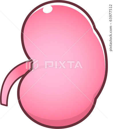 Kidney character Kidney character 63977512