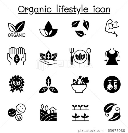 Organic lifestyle icon set vector illustration Organic lifestyle icon set vector illustration 63978088