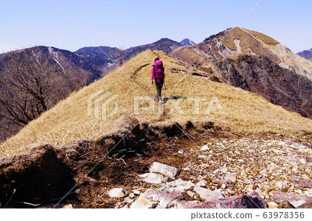 從中倉山山頂到山毛櫸樹的木縣蘆生路 從中倉山山頂到山毛櫸樹的木縣蘆生路 63978356