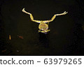 Moria gull frog 63979265