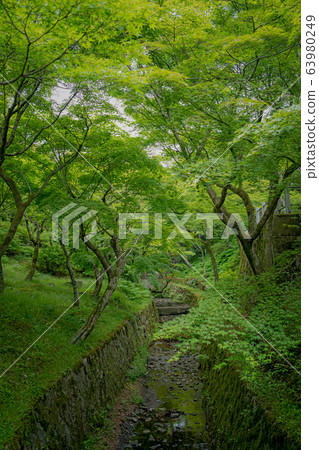 Kyoto Tofuku-ji Temple Aomiji and Sounbashi 63980249