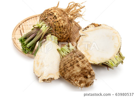 Root celery 63980537