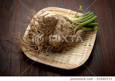 Root celery Root celery 63980551