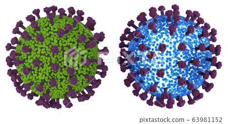 coronavirus cell or covid-19 cell coronavirus cell or covid-19 cell 63981152