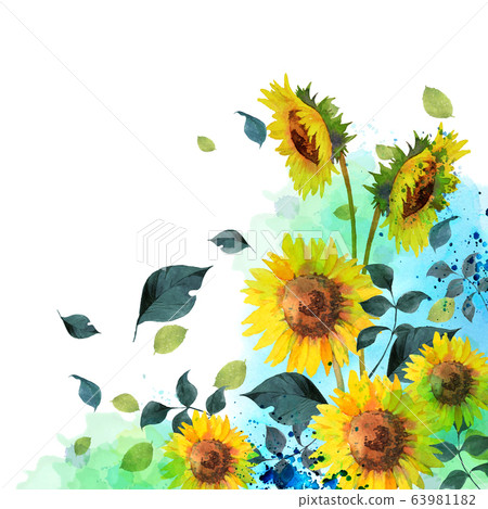 Sunflower watercolor - Stock Illustration [63981182] - PIXTA