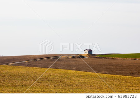 April Spring Biei April Spring Biei 63983728