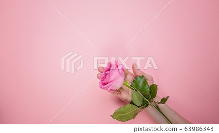 Web banner format. Children's hands are holding a rose Web banner format. Children's hands are holding a rose 63986343