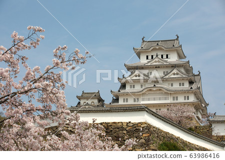 Himeji Castle and cherry blossoms in full bloom 63986416