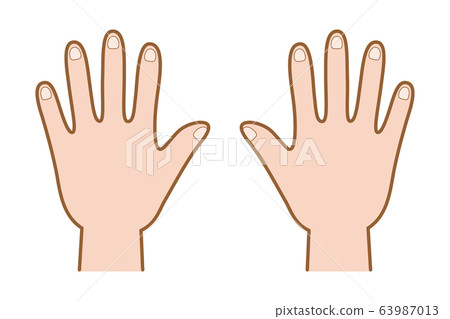 手背(兩隻手)的矢量圖 手背(兩隻手)的矢量圖 63987013