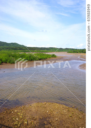 Iriomotejima Hoshigawa 63988949