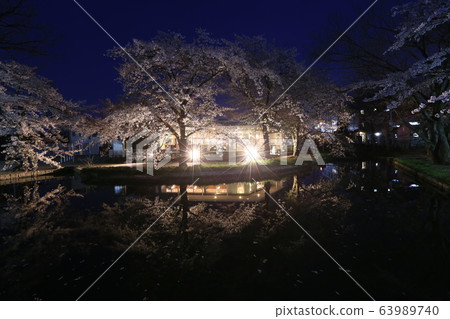 Night cherry blossoms at Wakaizumi Park 63989740