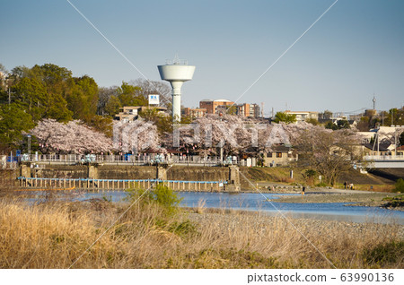 Spring, Hamura City, Tokyo Spring, Hamura City, Tokyo 63990136